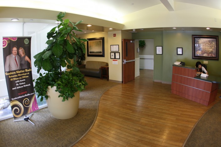 A modern lobby with a large indoor plant, comfortable seating, and hardwood flooring.
