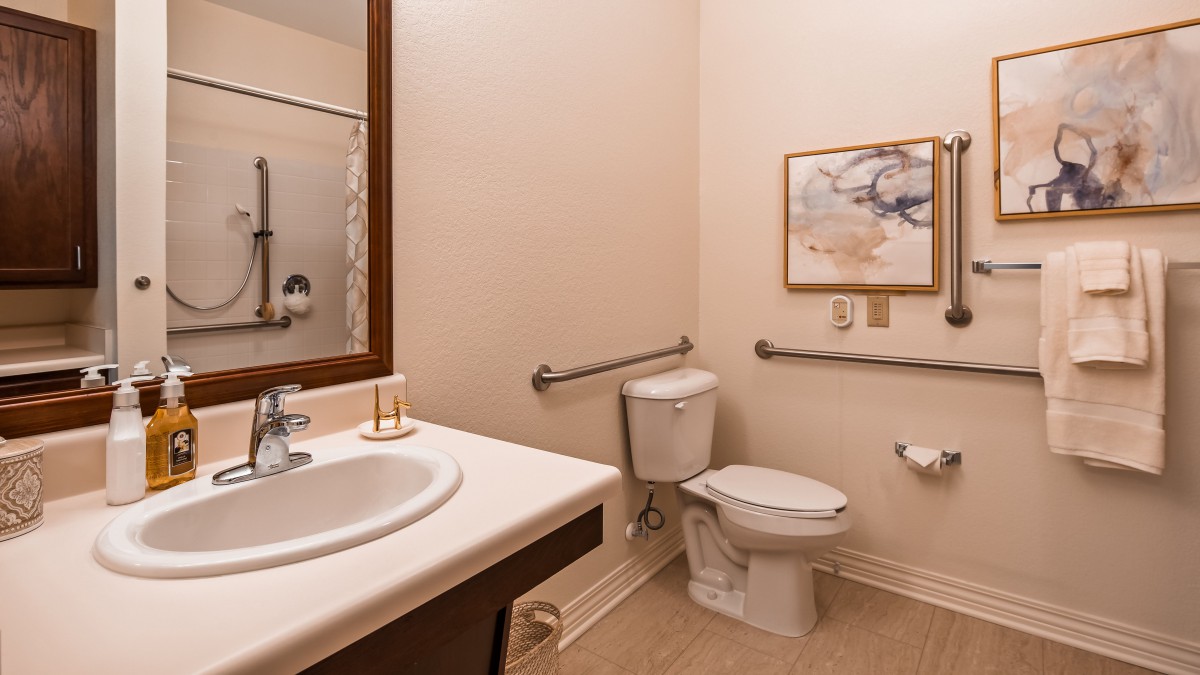 A modern and accessible bathroom with grab bars, a toilet, sink, and wall art.