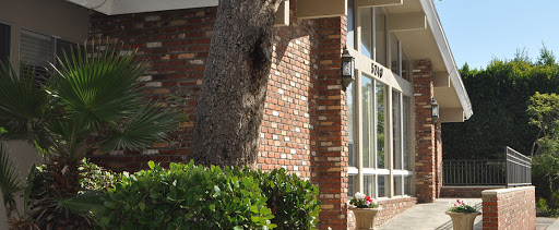 A brick building with a large tree and window details.