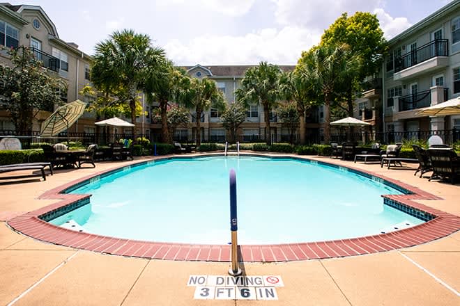 A serene outdoor swimming pool surrounded by palm trees and seating areas on a sunny day.