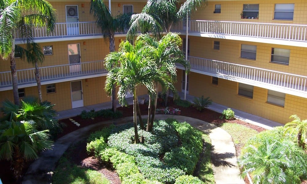 A sunny courtyard in an apartment complex with palm trees and well-maintained landscaping.