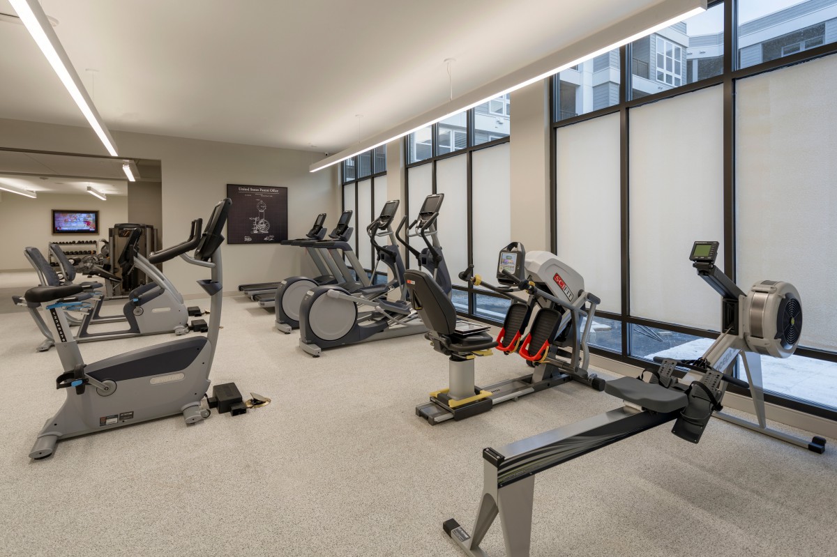 A modern gym featuring a variety of exercise equipment, including treadmills, ellipticals, and rowing machines.