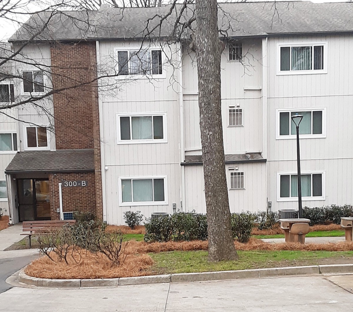 A view of a residential apartment building with a tree and parking area in the foreground.