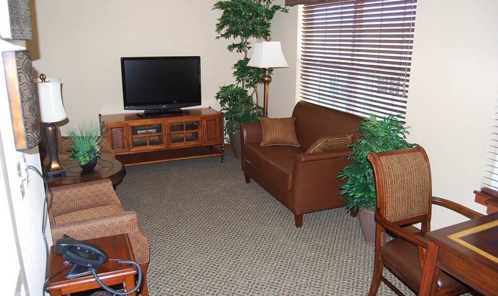A cozy living room with a television, sofas, and indoor plants.