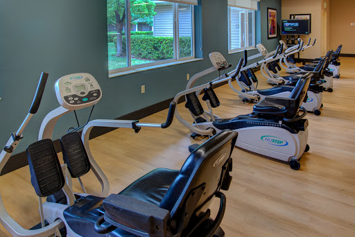 A row of recumbent exercise bikes in a well-lit fitness studio, perfect for a comfortable workout.