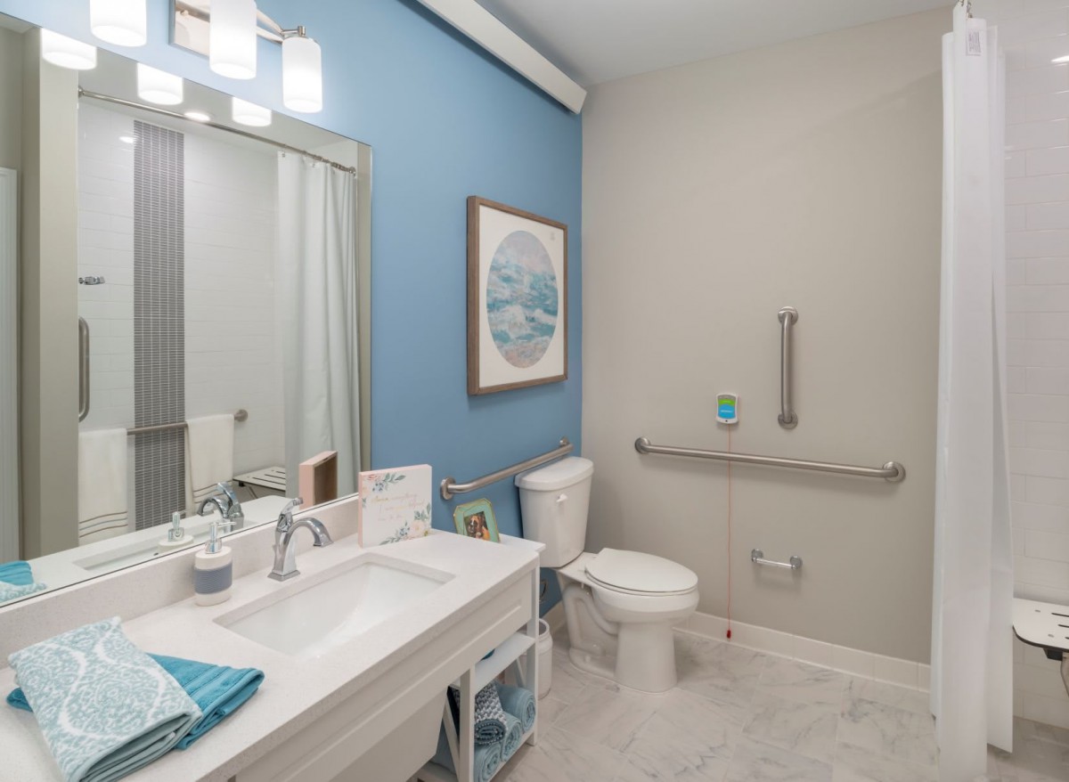 Modern, accessible bathroom with blue accent wall and elegant decor.