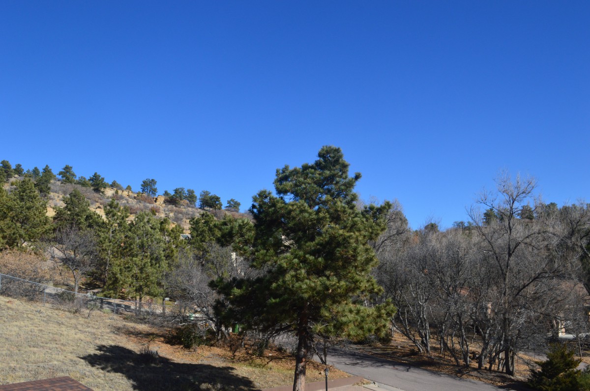 A scenic view of a tree-lined landscape under a clear blue sky.