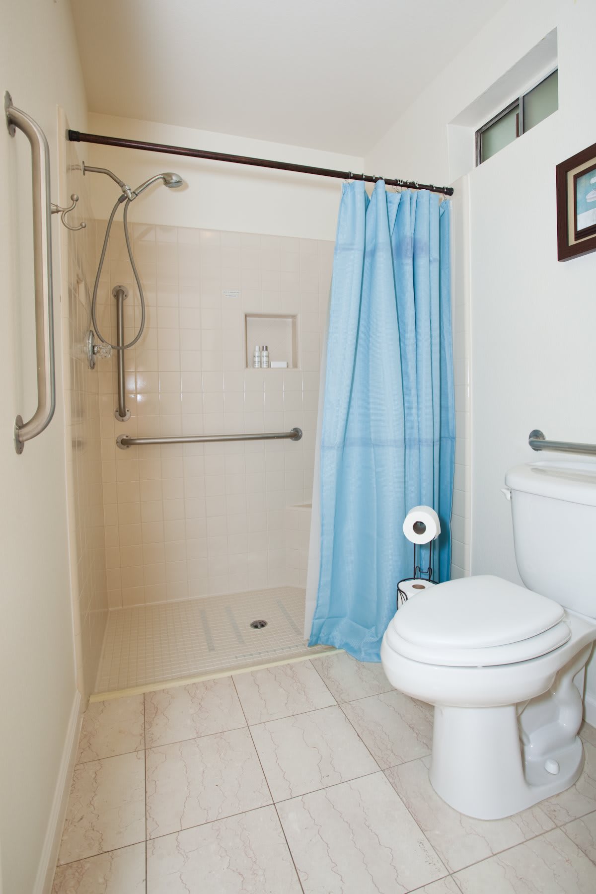A bathroom featuring a walk-in shower with grab bars and a blue curtain, alongside a toilet.