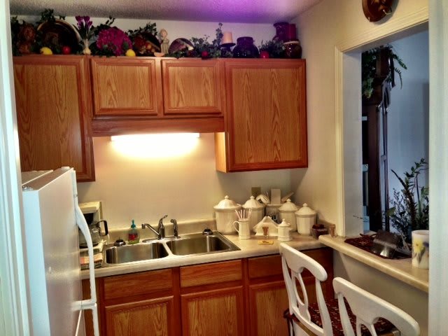 A cozy kitchen with wooden cabinets, a double sink, and decorative items on the counter.