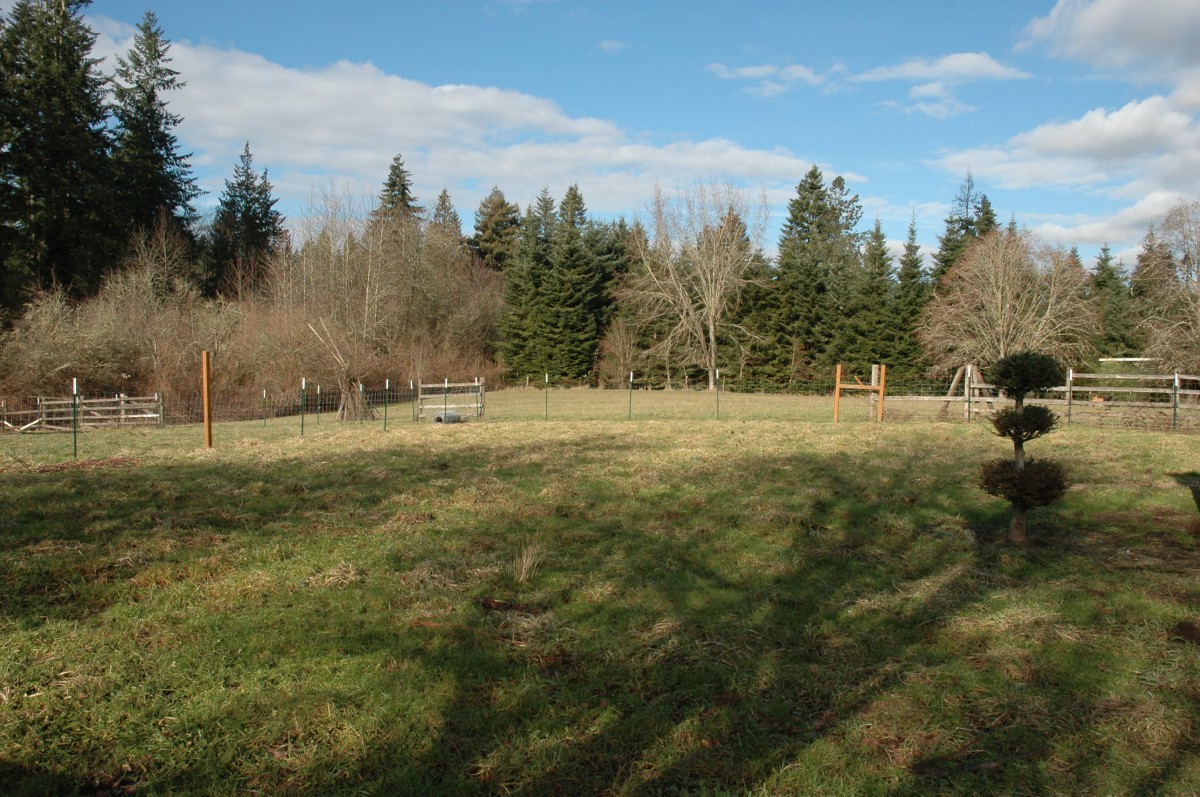 A scenic outdoor field bordered by trees and a fence.