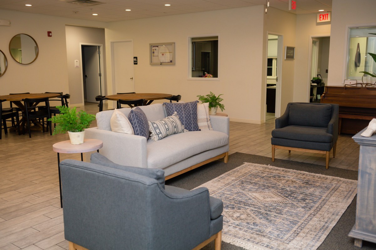 A cozy living room with sofas and armchairs arranged around a central coffee table, complemented by decorative plants and a patterned rug.