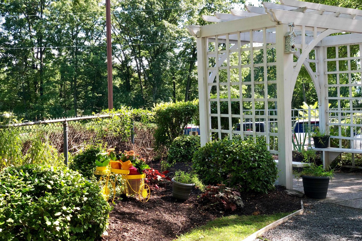 A sunny garden with a white pergola and vibrant flowers.