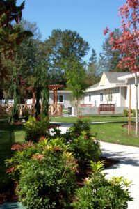 A landscaped garden with a pathway leading to a house surrounded by trees and plants.