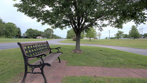 A peaceful park scene featuring a bench under a tree, surrounded by greenery.