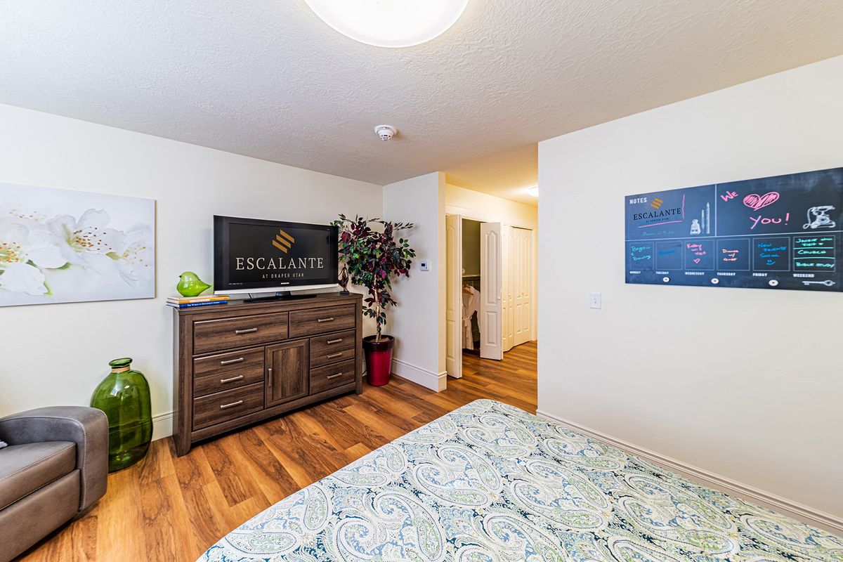 A modern bedroom with a hardwood floor, featuring a bed, dresser, television, and decorative plant.