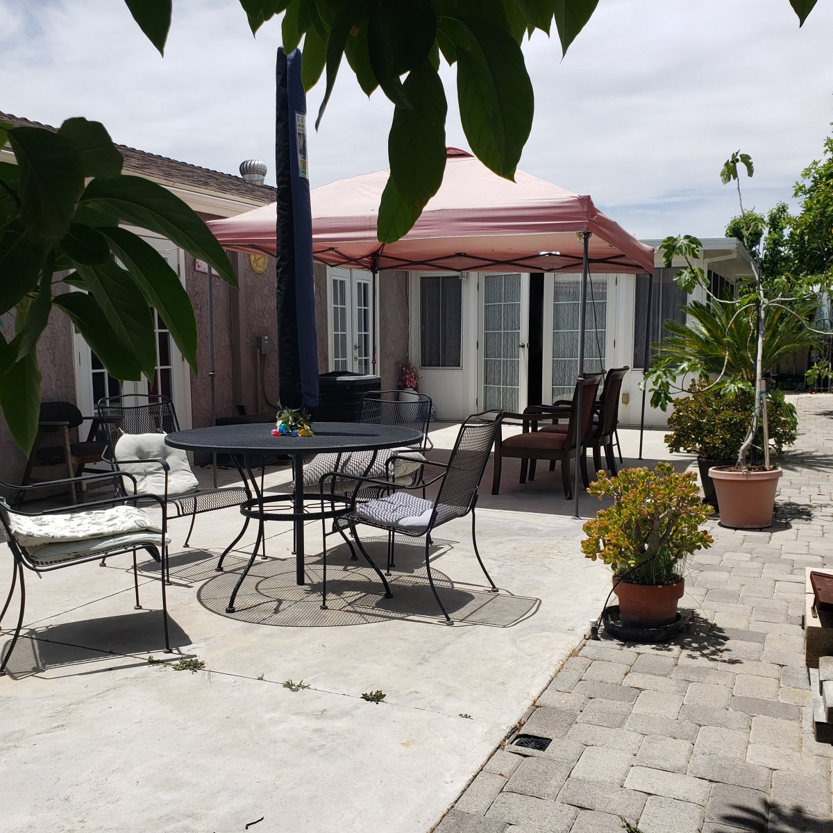 A sunny patio with outdoor seating and vibrant potted plants.