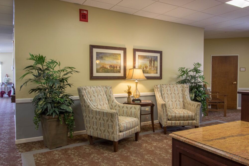 A cozy waiting room with two patterned chairs, a lamp, and decorative plants.