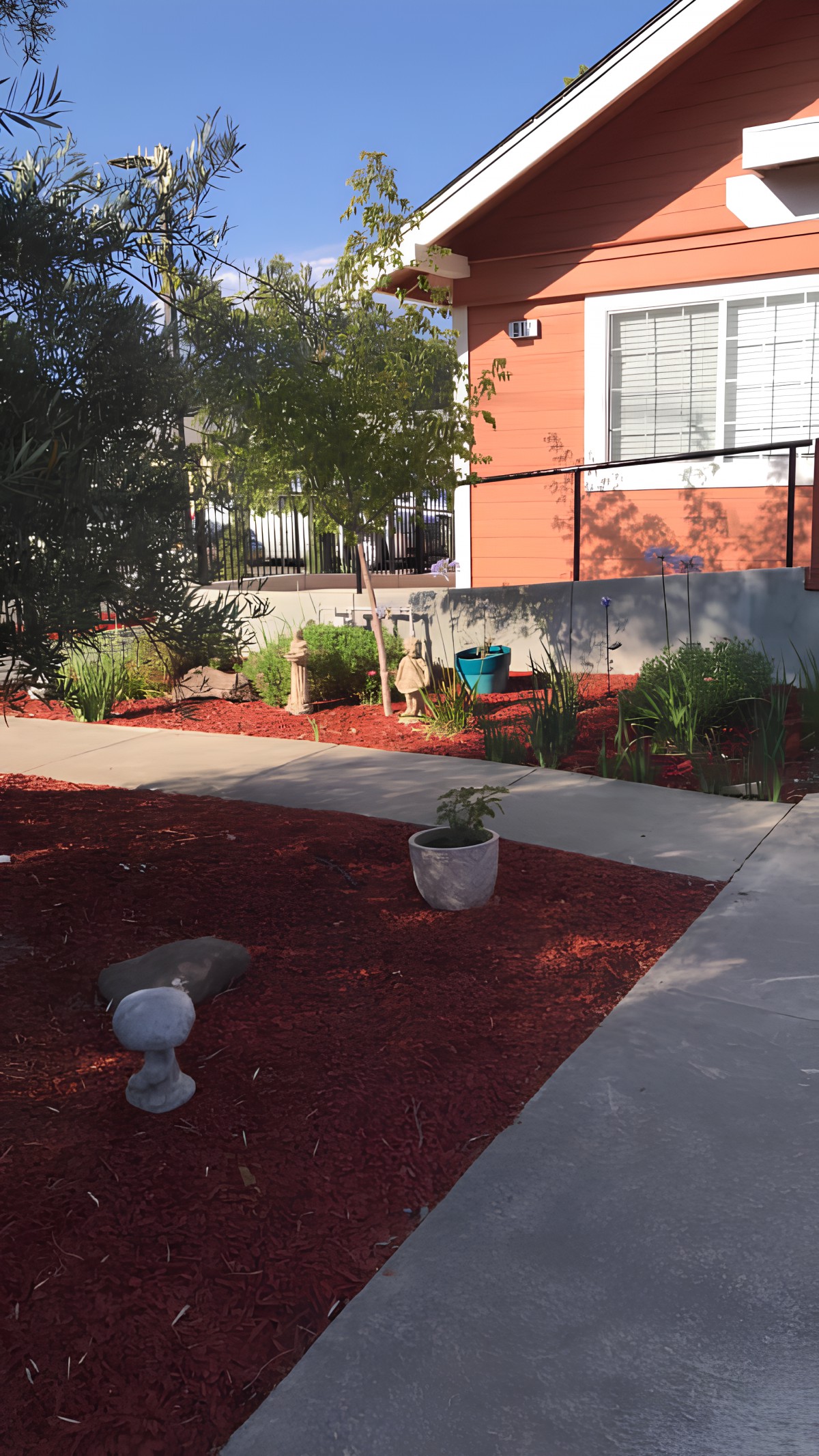 A landscaped garden with a paved walkway, featuring various plants and red mulch.