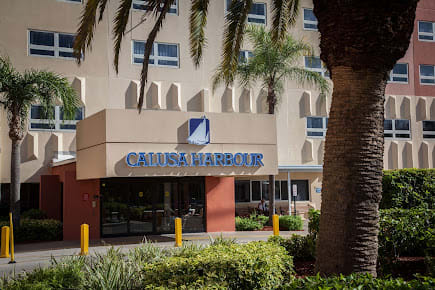 The entrance of the Crown Inn, surrounded by palm trees and greenery.