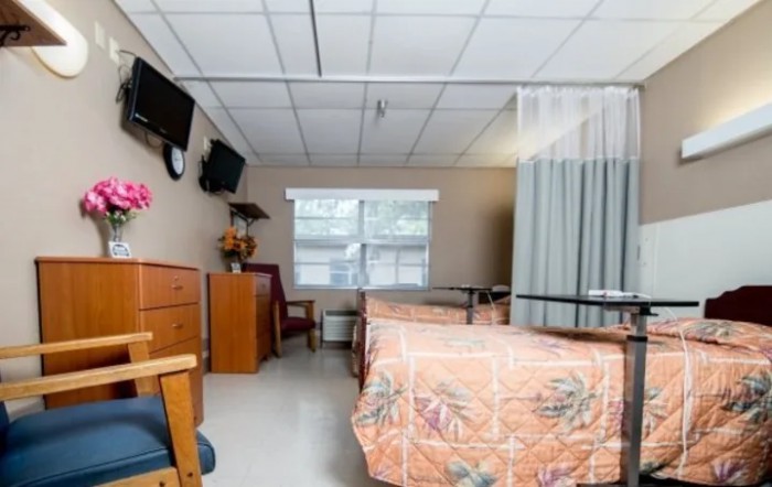 A hospital room with a bed, curtain, and television.