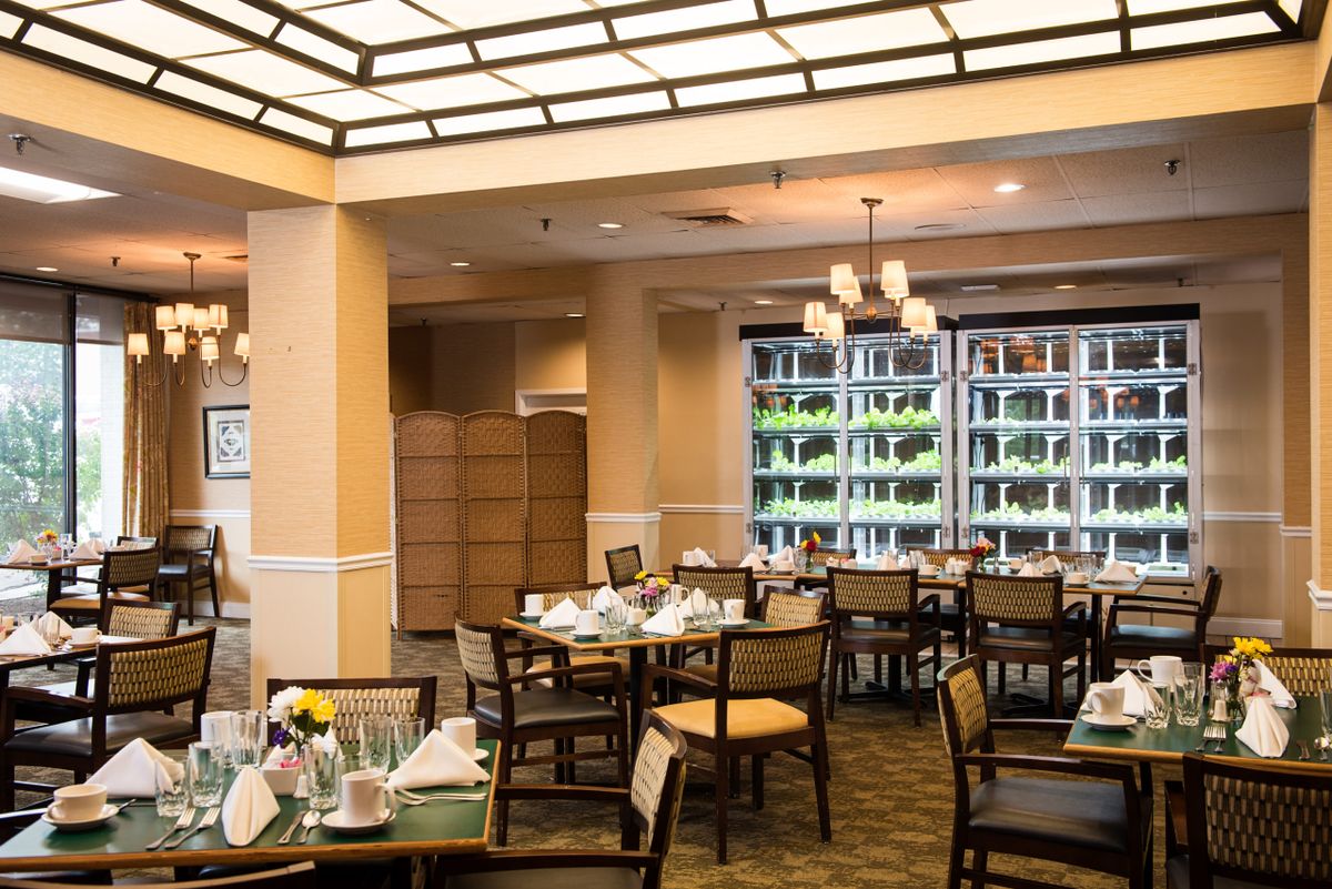 A spacious and elegantly decorated dining room with neatly arranged tables and chairs, enhanced by large windows and stylish chandeliers.