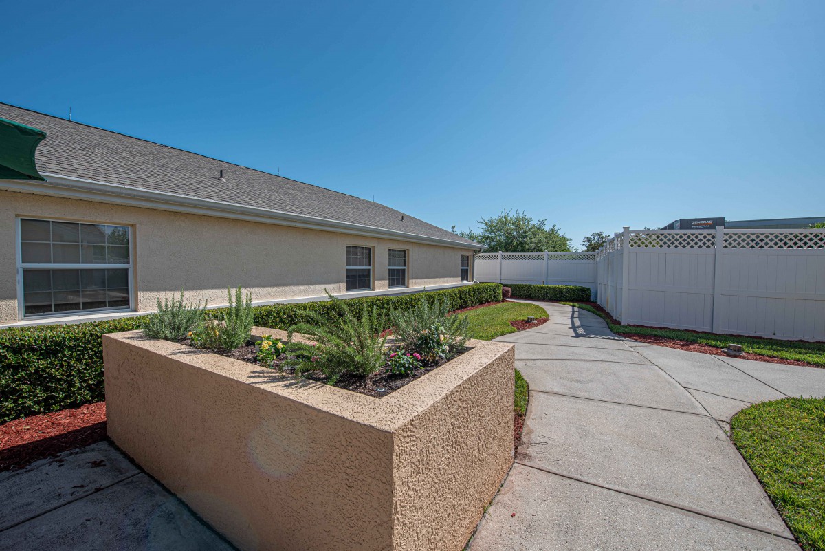 A sunny backyard with a landscaped garden and a spacious driveway.