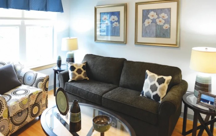 A cozy living room with a dark sofa, patterned cushions, and framed floral artwork.