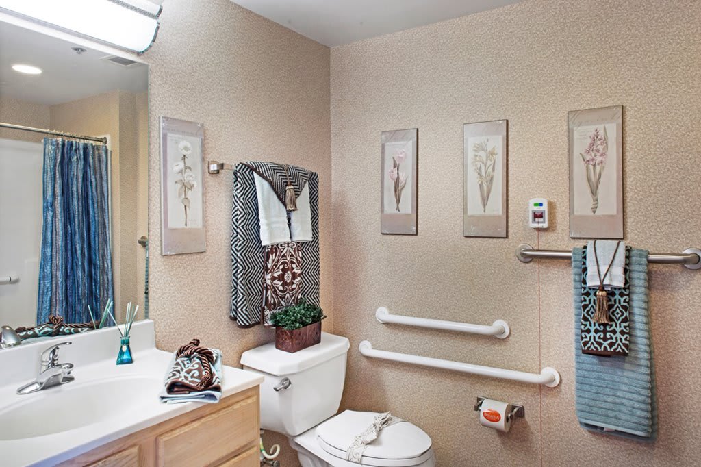 A bathroom with grab bars and decorative wall art.