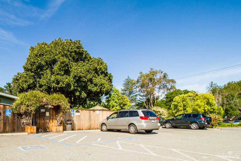 A sunny day in a parking lot with cars and surrounding greenery.