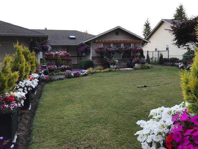 A well-maintained garden with colorful flowers surrounding a house and green lawn.