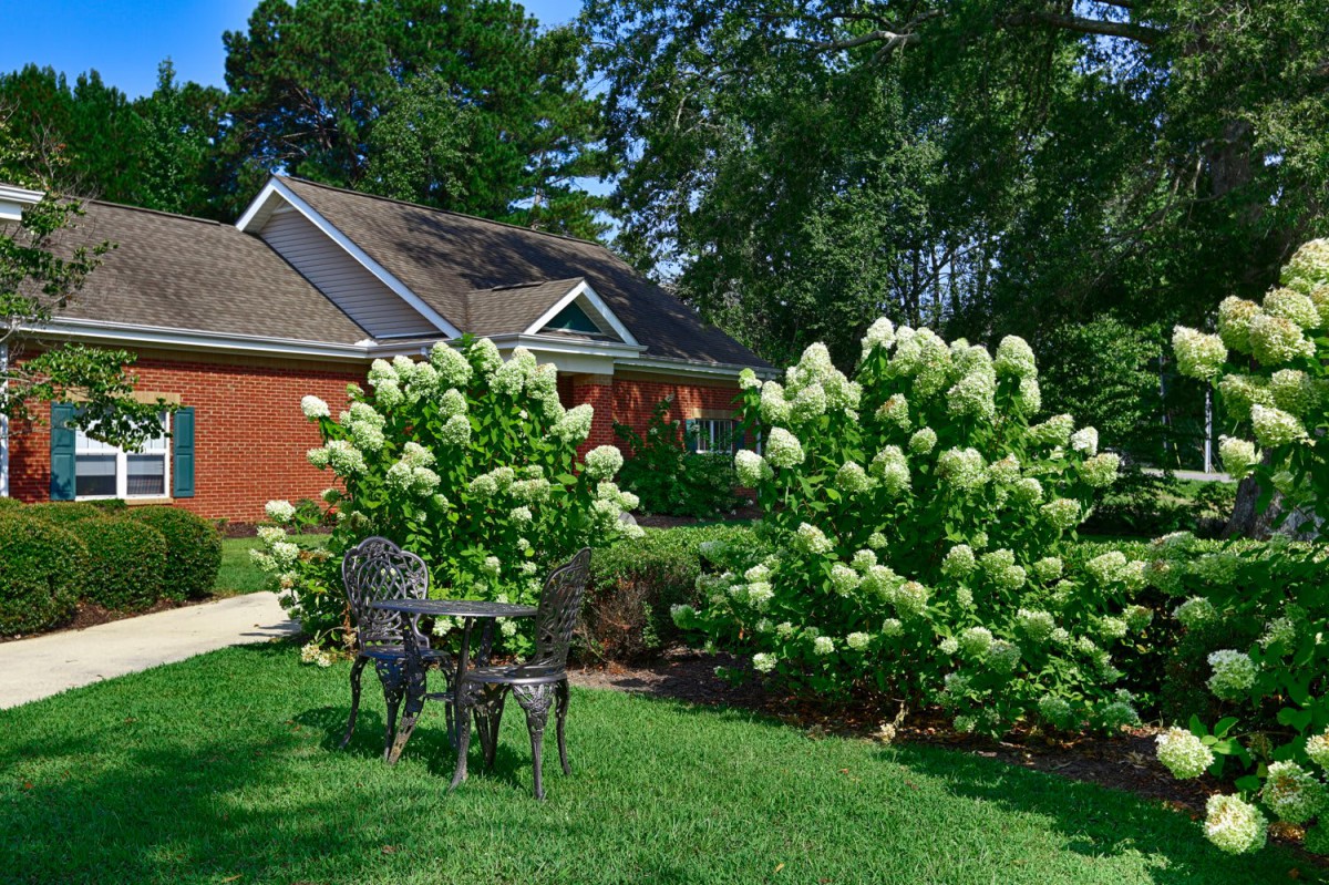 A well-maintained garden with blooming bushes and outdoor seating in front of a house.