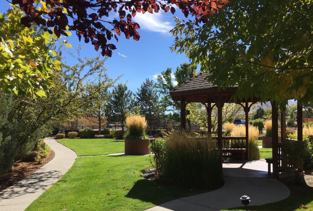 A sunny garden with a gazebo, surrounded by trees and a well-maintained grassy area.