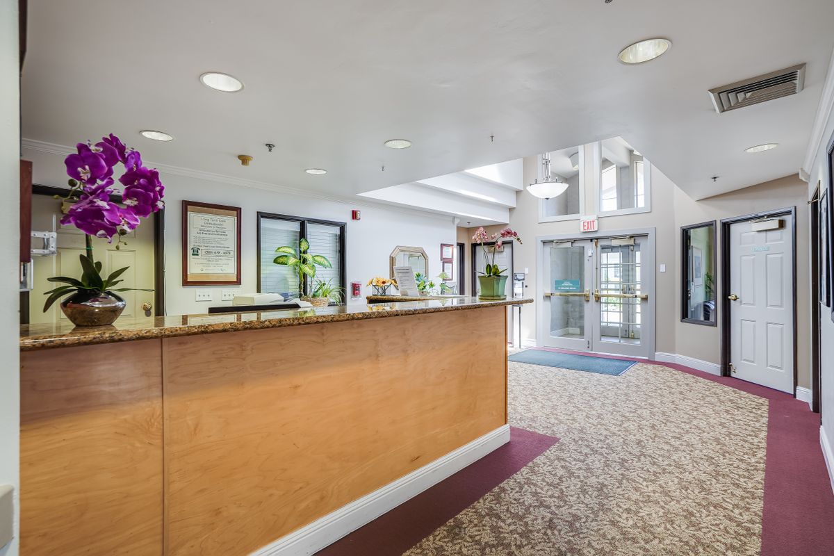 A modern reception area with a welcoming desk and bright decor.
