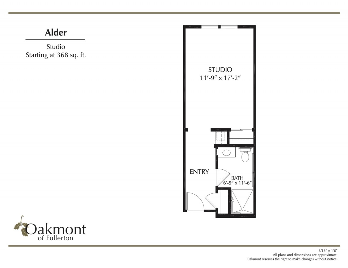 A floor plan of a studio apartment named 'Alder' with dimensions and layout details.