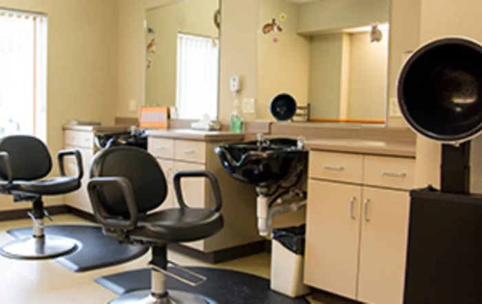 Avera Brady Health And Rehab
