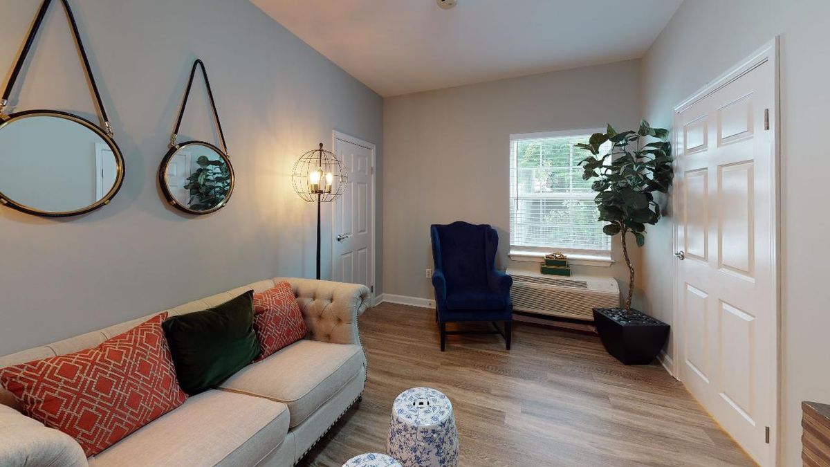 A cozy living room featuring a sofa with colorful cushions, an armchair, and a large potted plant by the window.
