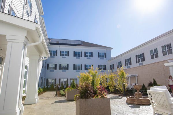 A sunny courtyard surrounded by a white building with blue shutters and lush greenery.