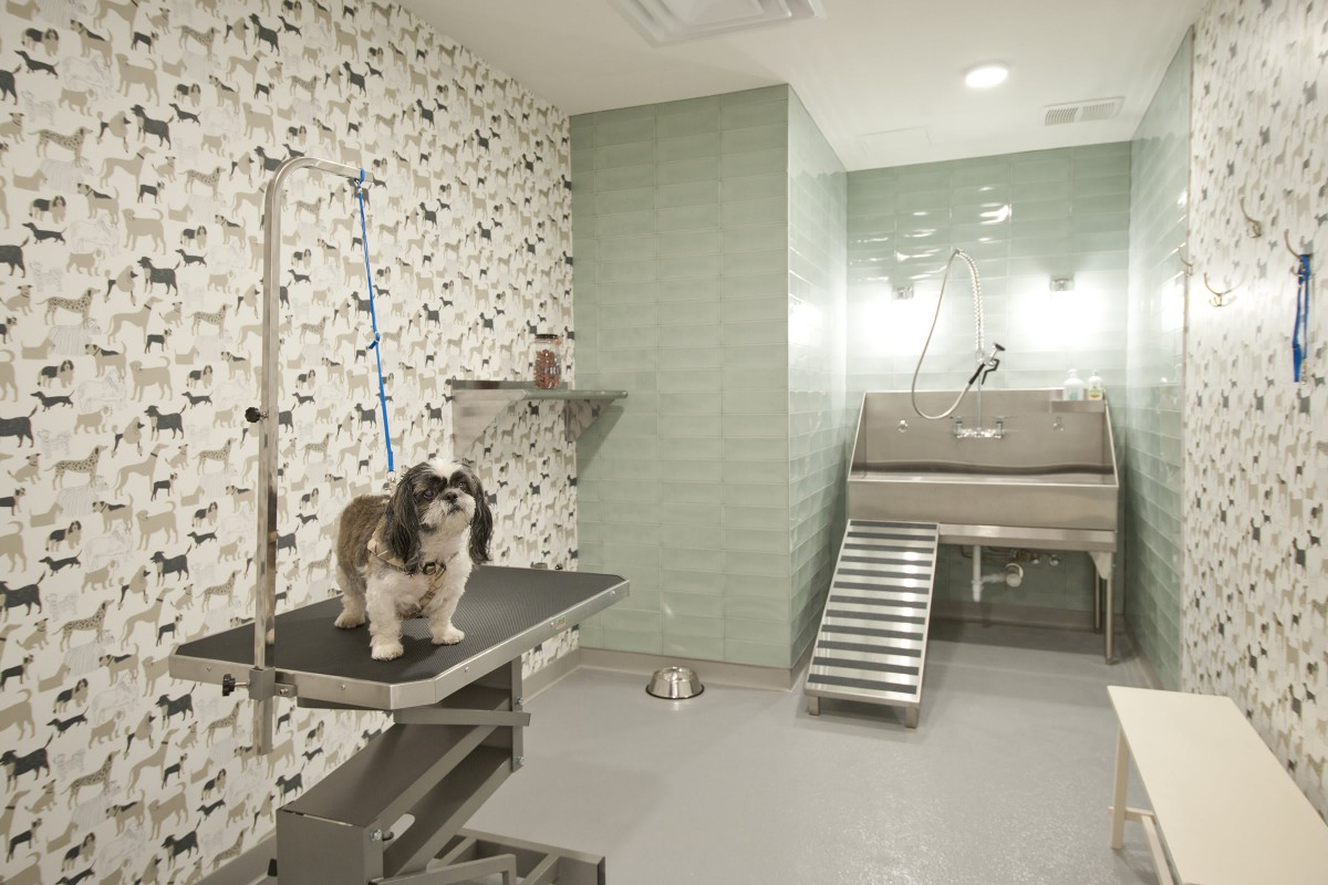 A well-equipped pet grooming room with a dog on the grooming table and a bath area.