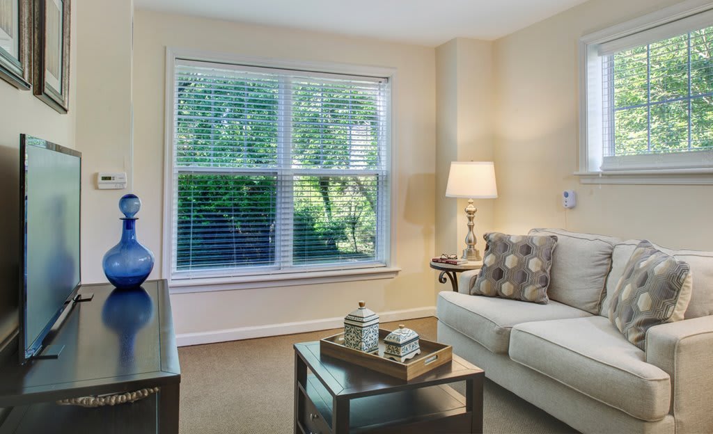 A cozy living room with a sofa, lamp, and window offering a view of greenery.