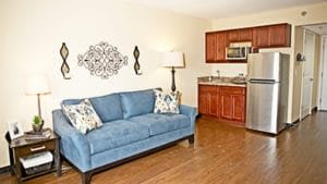 A cozy apartment living area featuring a blue sofa, hardwood floors, and a compact kitchenette.