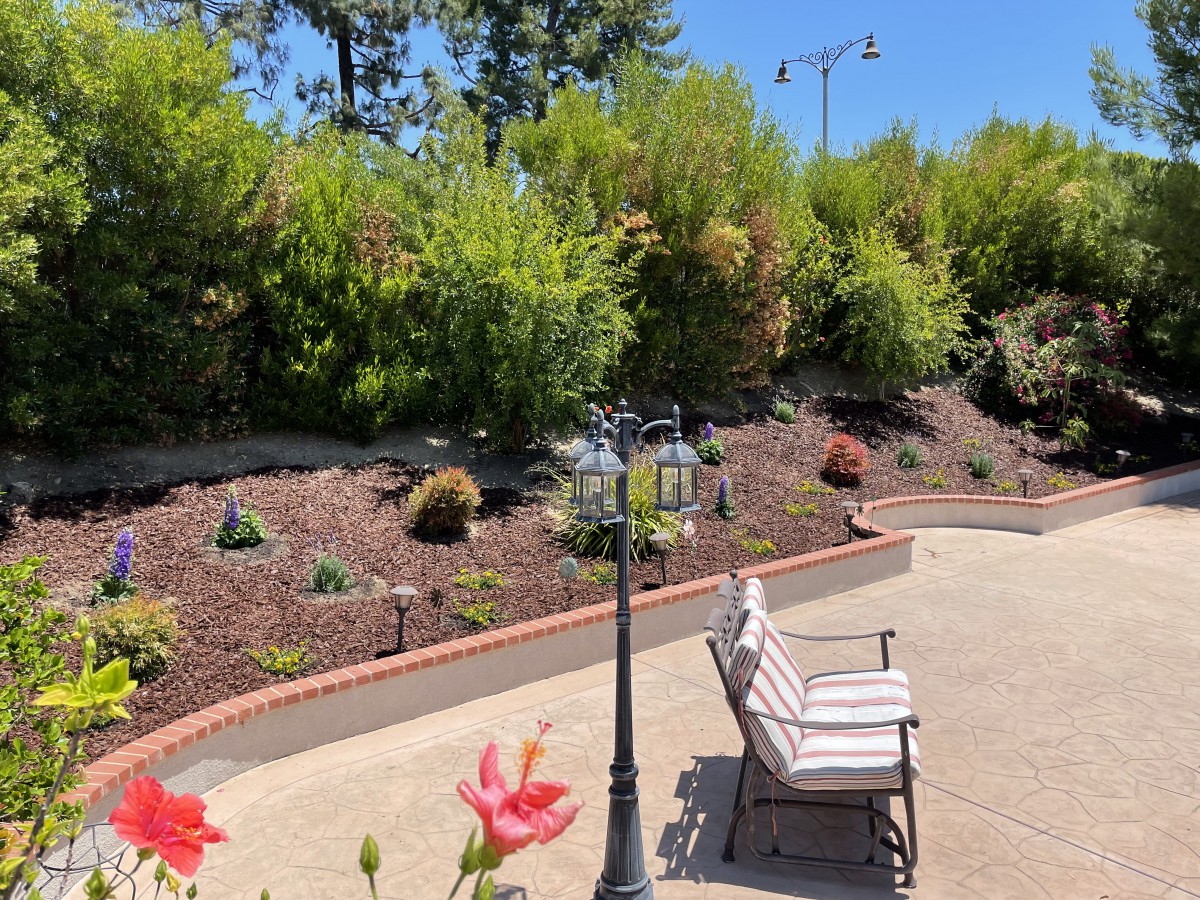 A serene garden patio with a bench surrounded by lush greenery and vibrant flowers.