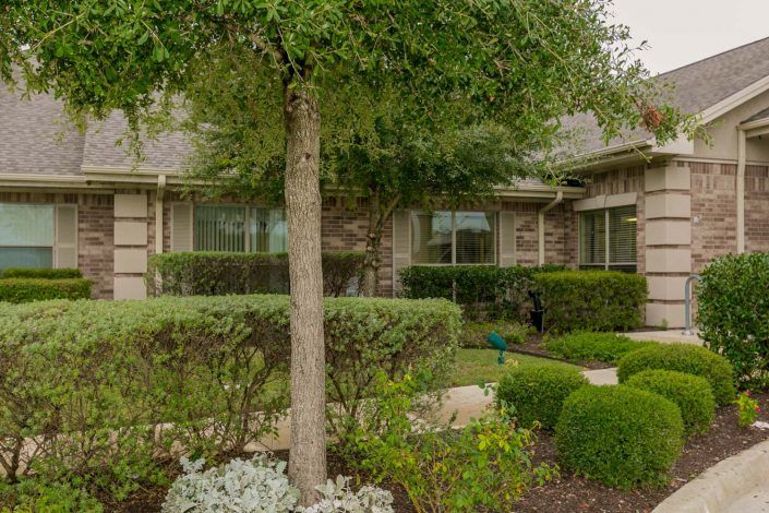 A well-maintained residential garden with neatly trimmed bushes and a tree in front of a house.