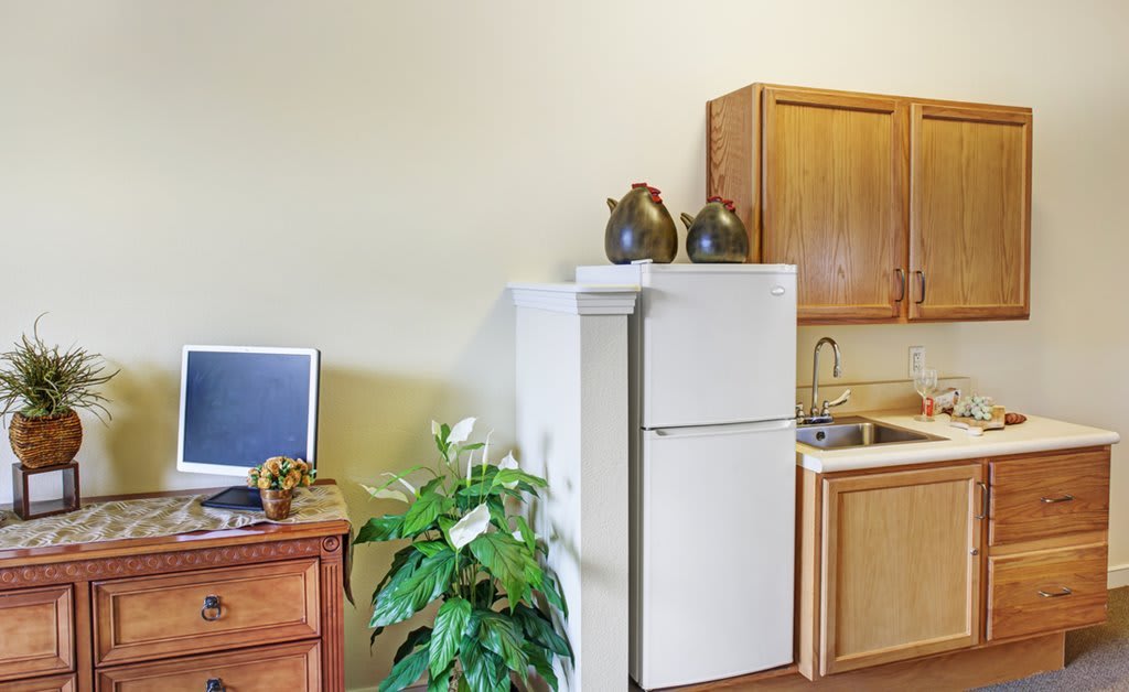 A small kitchen area with a fridge, sink, and computer desk alongside an indoor plant.
