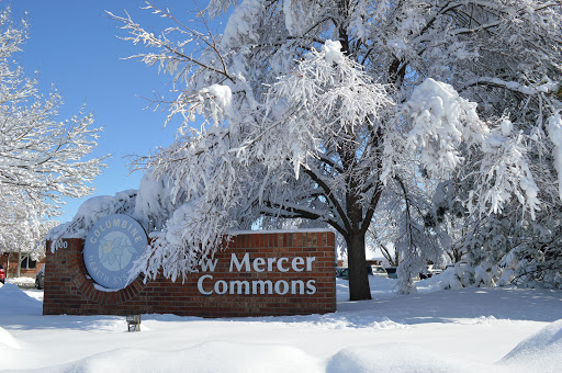 A winter scene featuring snow-covered trees and the Mercer Commons sign.