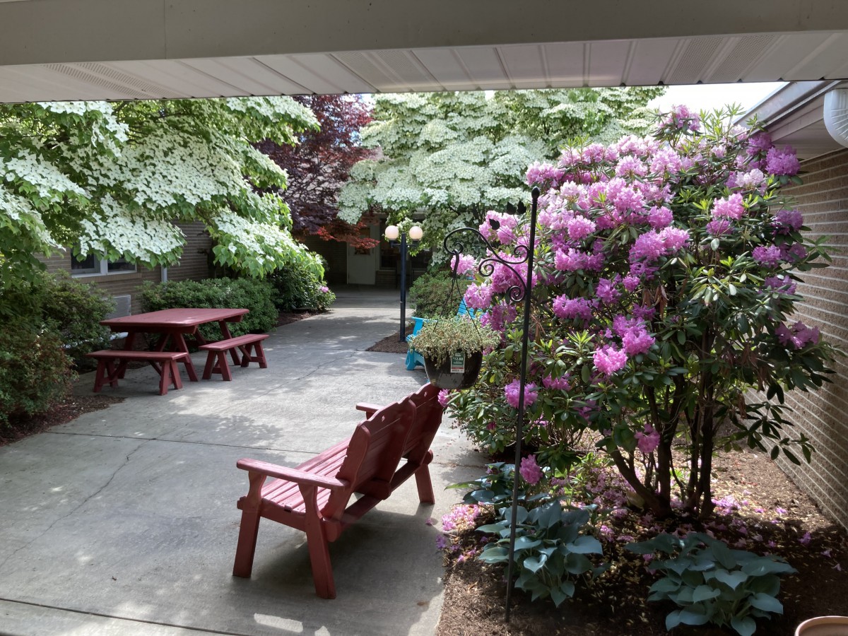 A serene garden with blooming flowers and red benches along a paved pathway.