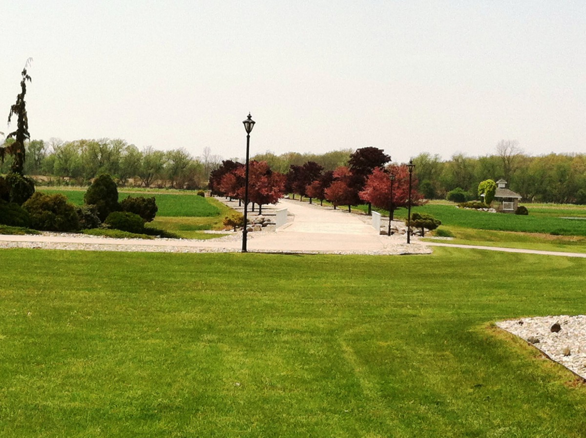 A scenic park with a pathway, surrounded by lush grass and colorful trees.