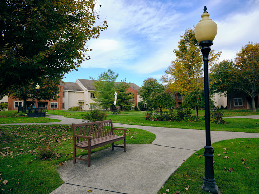 A serene park pathway with a bench and lamp post, surrounded by lush greenery and a clear sky.