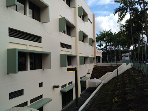 A modern building featuring sleek lines and palm trees in the background.