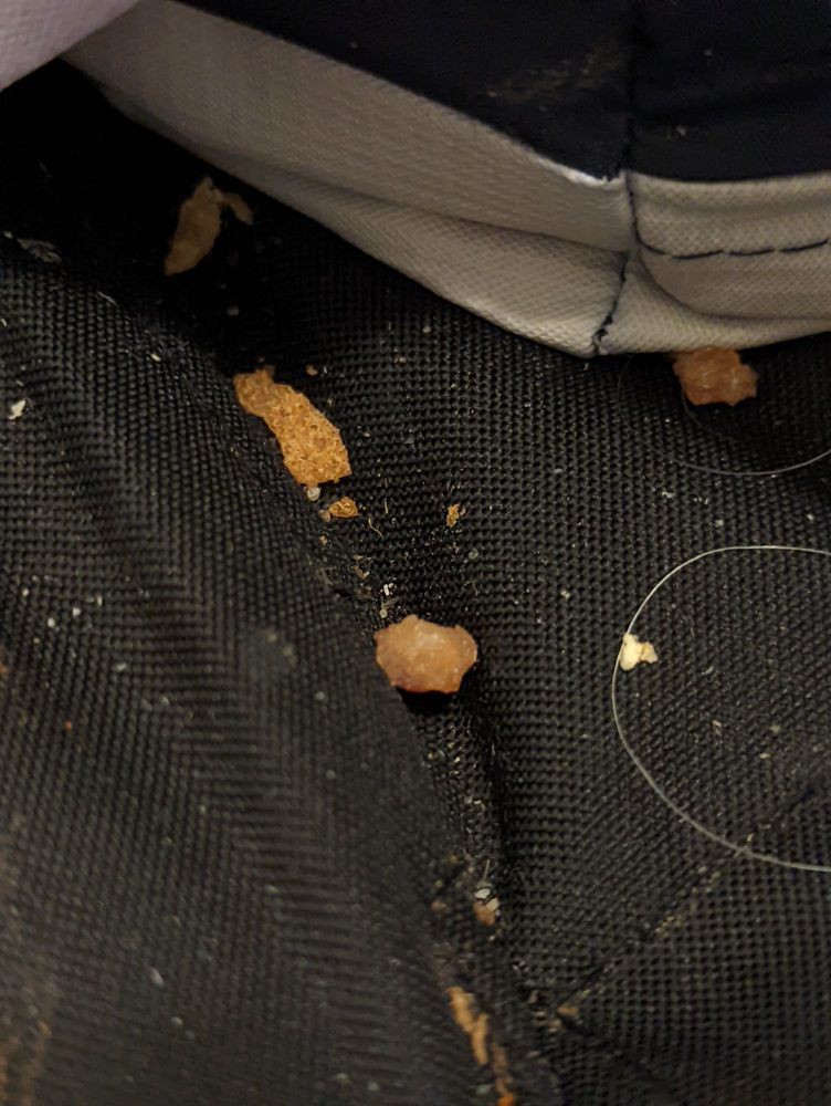 Crumbs scattered on dark fabric.