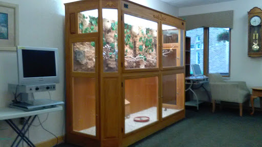 A beautifully crafted wooden terrarium designed for housing reptiles or plants, featuring clear glass panels and a naturalistic background.